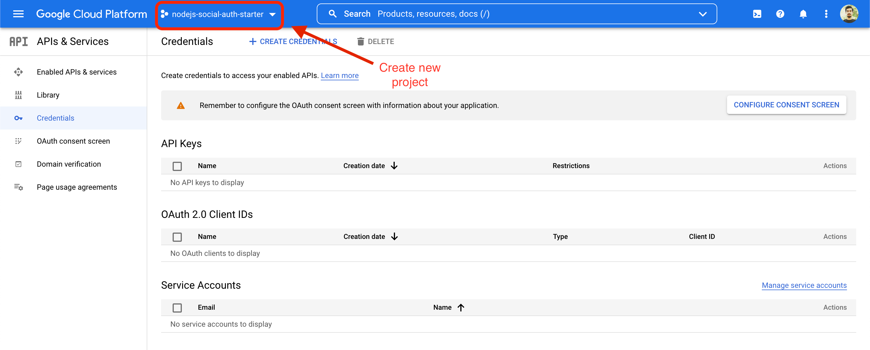 Google developers console credentials panel